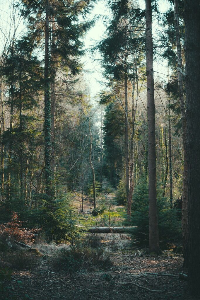 https://pp.userapi.com/c543101/v543101263/41ece/EpZGhMkzFkQ.jpg