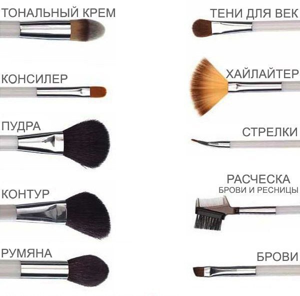 Основные кисти для макияжа.