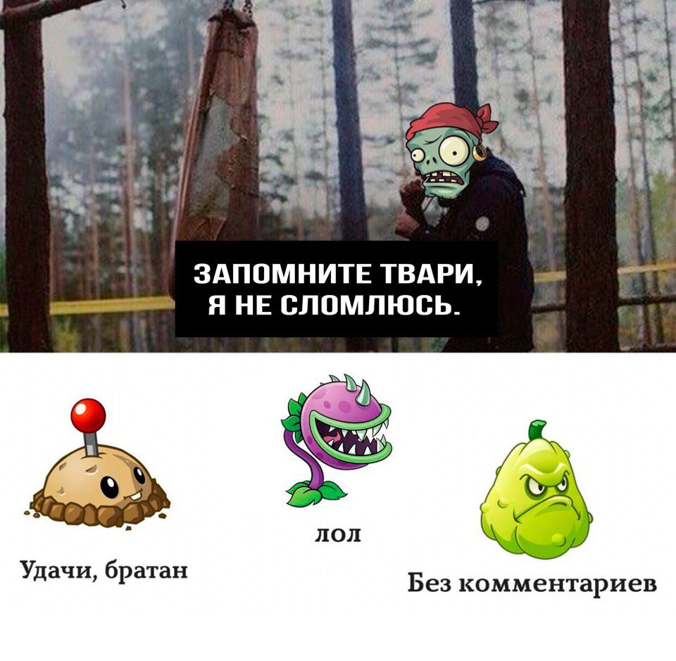 wrPUGUMdrIE.jpg