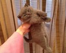 Простой рецепт счастья