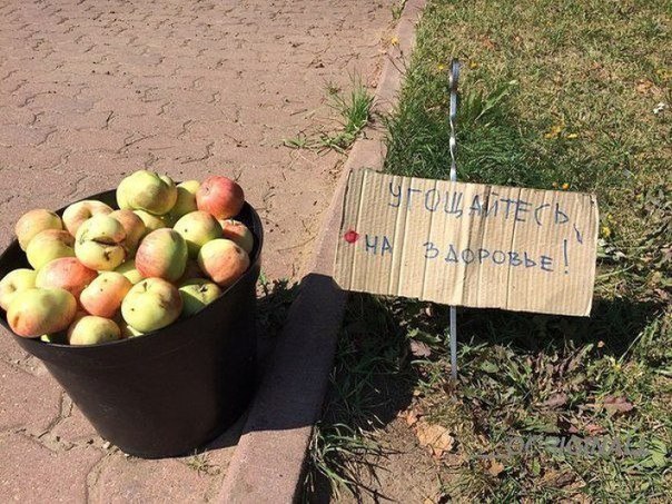 Есть ещё добрые люди 