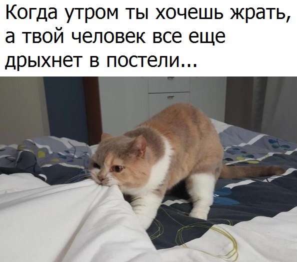 eWVn8wktT8A.jpg