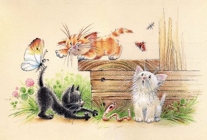 Кошки в нашей жизни. Кошки и все, что с ними связано.