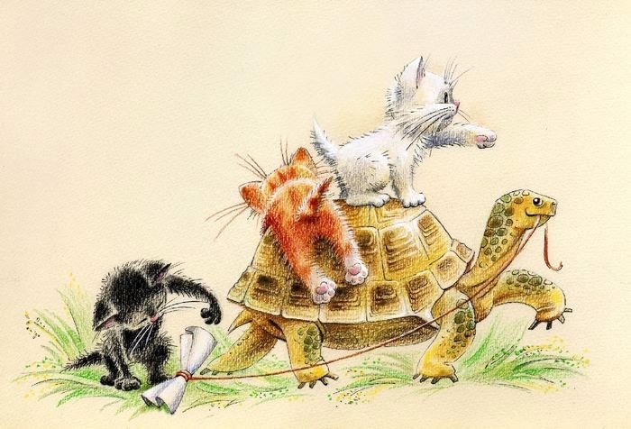 Кошки в нашей жизни. Кошки и все, что с ними связано.