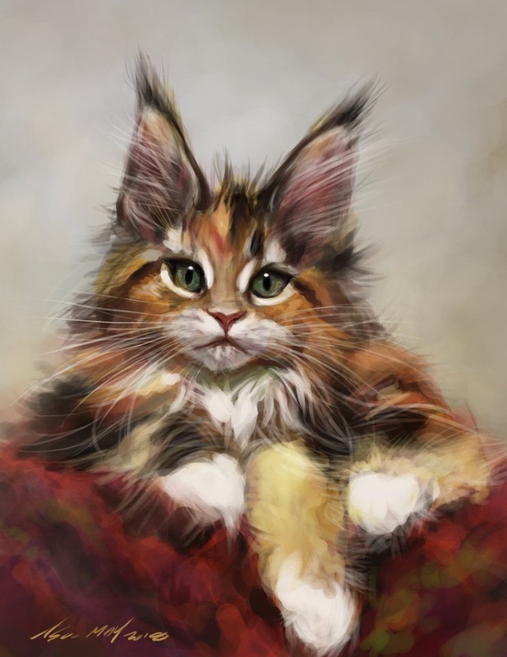 Кошки в нашей жизни. Кошки и все, что с ними связано.