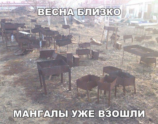 веселые картинки