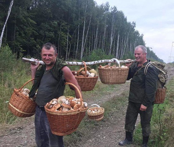 Вот это улов - невозможно пройти мимо