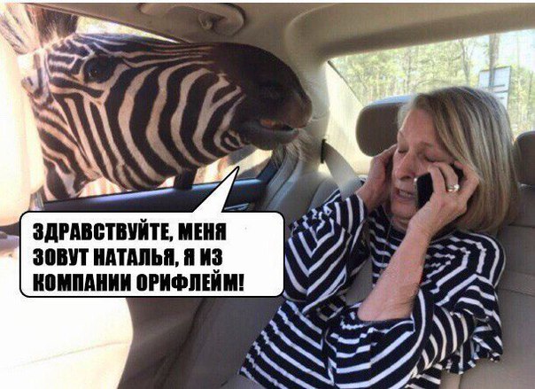 Прикольные картинки эйвон