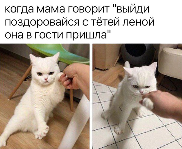 мемасики