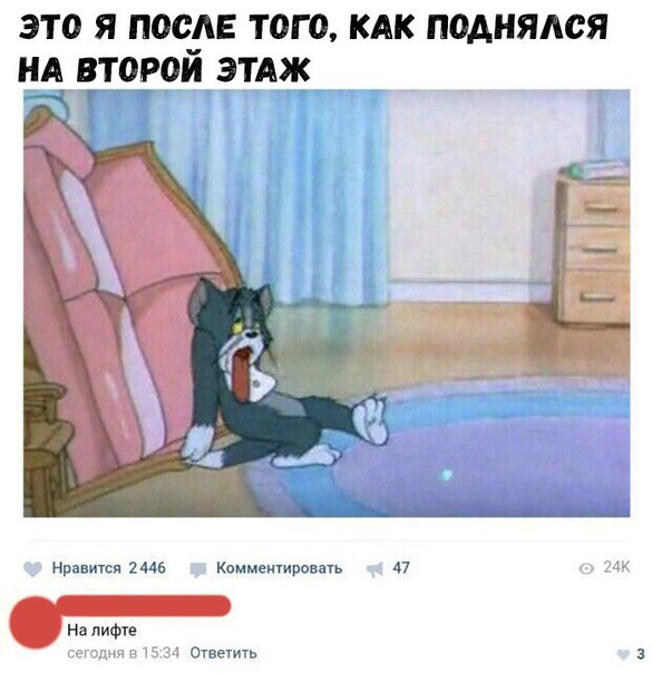 смешные картинки