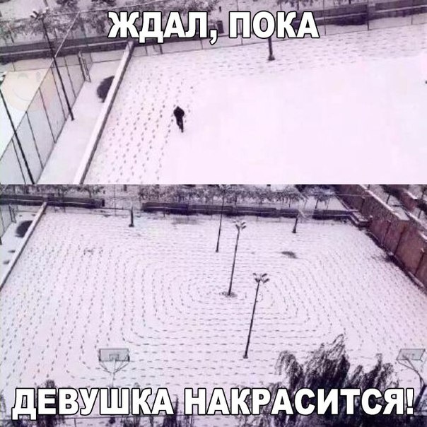 смешные картинки