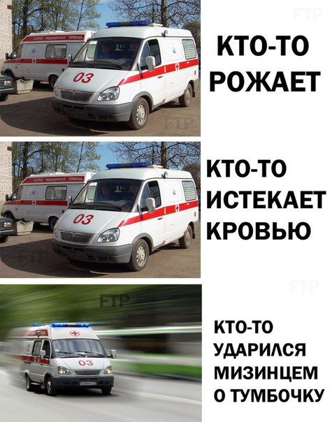 смешные картинки