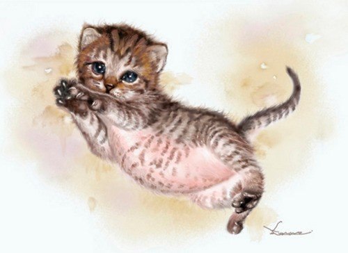 Кошки в нашей жизни. Кошки и все, что с ними связано.