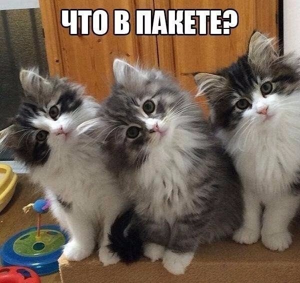 У Вас тоже так