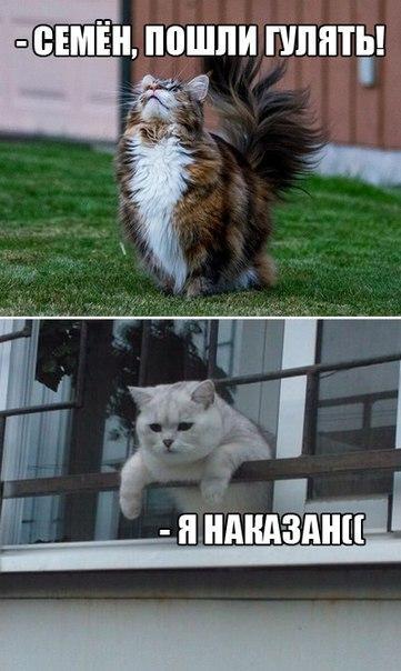 https://pp.userapi.com/c543103/v543103532/17b0e/_5oTpo22uNA.jpg