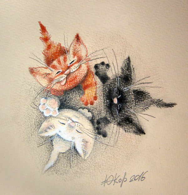 Кошки в нашей жизни. Кошки и все, что с ними связано.