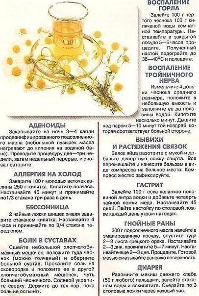 ЭЛИКСИР ЖИЗНИ