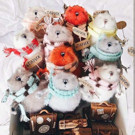 Кошки в нашей жизни. Кошки и все, что с ними связано.