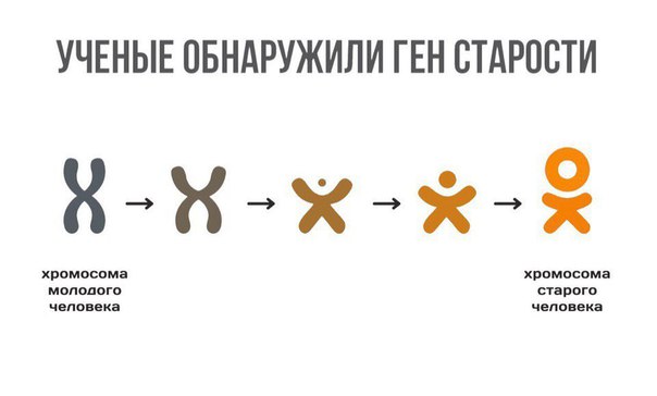 Смешная картинка №242223 - Прикол, мем про УЧЕНЫЕ ОБНАРУЖИЛИ ГЕН ...