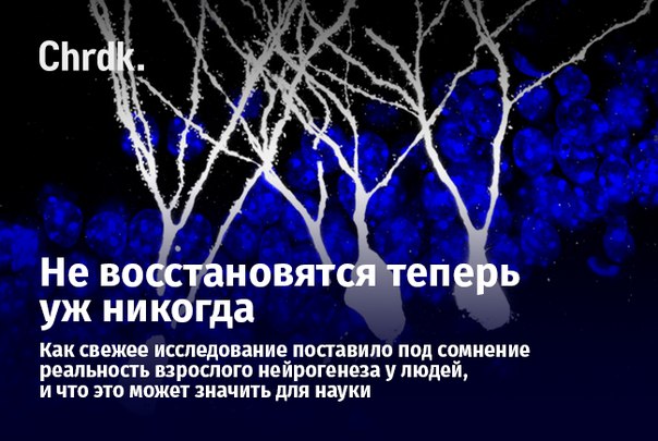 И всё-таки они не восстанавливаются. Или восстанавливаются