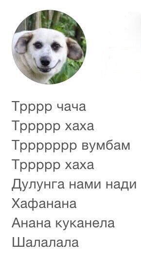 qaFs4kKHjZQ.jpg
