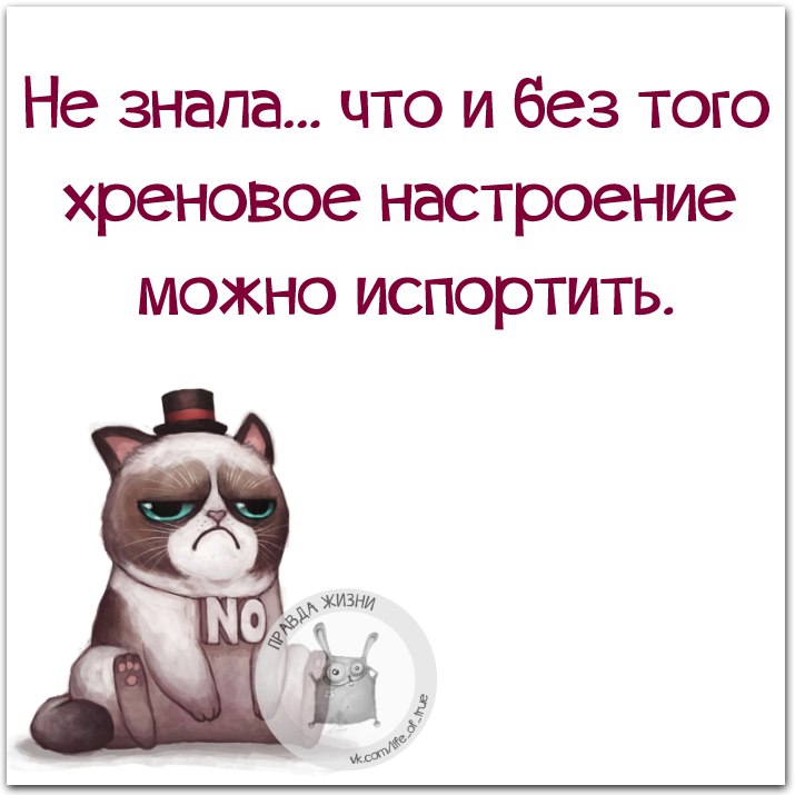 Прикольные картинки, картинки хреновое настроение