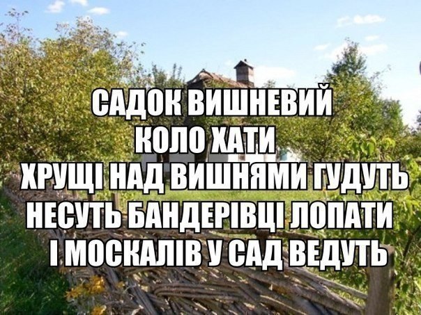 Чалый: Комплексное давление США на Россию поможет освободить украинских политзаключенных - Цензор.НЕТ 3668