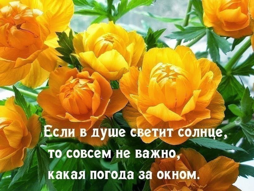 Журнал на 2 группу по электробезопасности образец – Telegraph