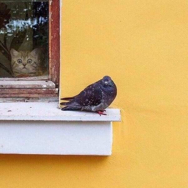 Где он