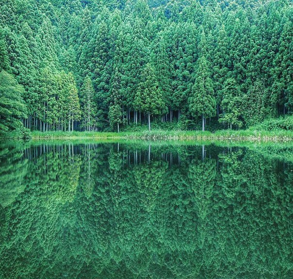 Природное зеркало