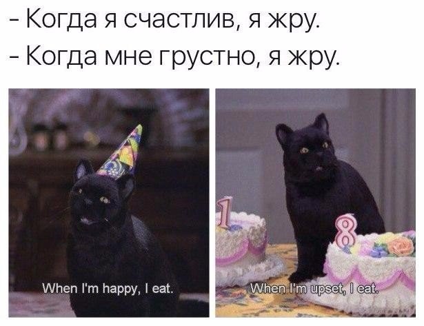 O4ZtwcImF7g.jpg