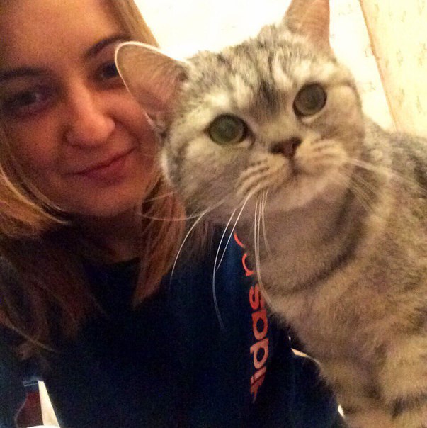 Сниму лично, отдельную , изолированную комнату! Либо студию! В пешей доступности от метро, не более 15минут!. <br>Серая ветка. Желательно низ.<br>Рассмотрю так же другие варианты , но только в пересечении с серой веткой!, Рядом с метро и в пределах МЦК(!)<br>До 18т.р. /студия до 23т.р<br>В соседях не более 2х человек.<br>Не пары.<br>О себе: тихая, чистоплотная, платёжеспособная и ответственная. Без шумных компаний, уважаю личное пространство, того же хочу от соседей. График 5/2.<br>Не курю и не приемлю курение в квартире.<br>Буду проживать со взрослой , стерилизованной кошкой (знает лоток, мебель не портит, ночами спит).<br>В квартире обязательна стиральная машина, холодильник, спальное место, шкаф. (!) Не бабушкин вариант..! Договор обязателен. <br>Писать в Л/С.<br> - фото Фото: Сниму лично, отдельную , изолированную комнату! Либо студию! В пешей доступности от метро, не более 15минут!. <br>Серая ветка. Желательно низ.<br>Рассмотрю так же другие варианты , но только в пересечении с серой веткой!, Рядом с метро и в пределах МЦК(!)<br>До 18т.р. /студия до 23т.р<br>В соседях не более 2х человек.<br>Не пары.<br>О себе: тихая, чистоплотная, платёжеспособная и ответственная. Без шумных компаний, уважаю личное пространство, того же хочу от соседей. График 5/2.<br>Не курю и не приемлю курение в квартире.<br>Буду проживать со взрослой , стерилизованной кошкой (знает лоток, мебель не портит, ночами спит).<br>В квартире обязательна стиральная машина, холодильник, спальное место, шкаф. (!) Не бабушкин вариант..! Договор обязателен. <br>Писать в Л/С.<br>