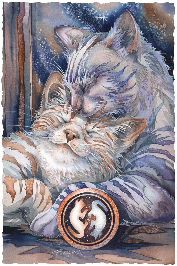 Поговорим о кошках43