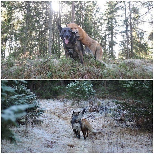 Немного о любви