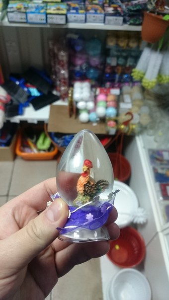 Egj8x5iTtTc.jpg