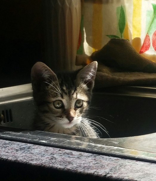 Приуныл.