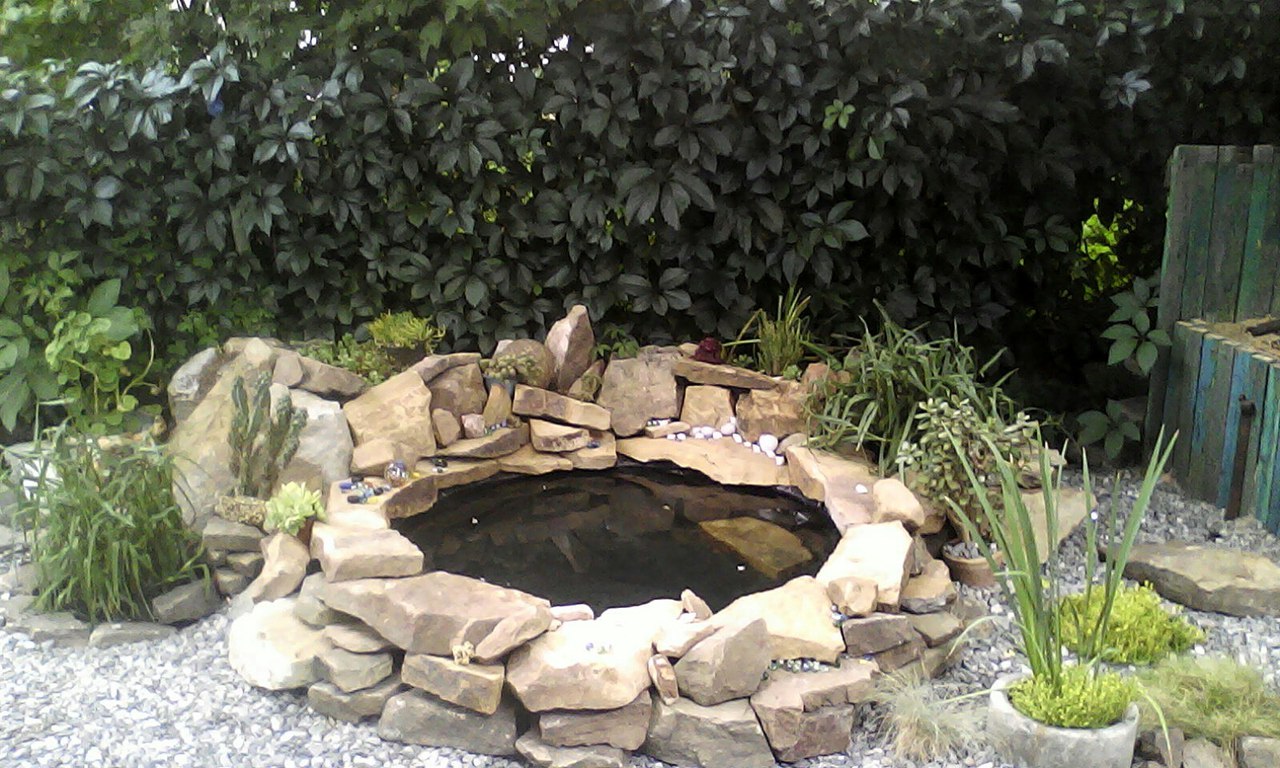 фотография из вКонтакта