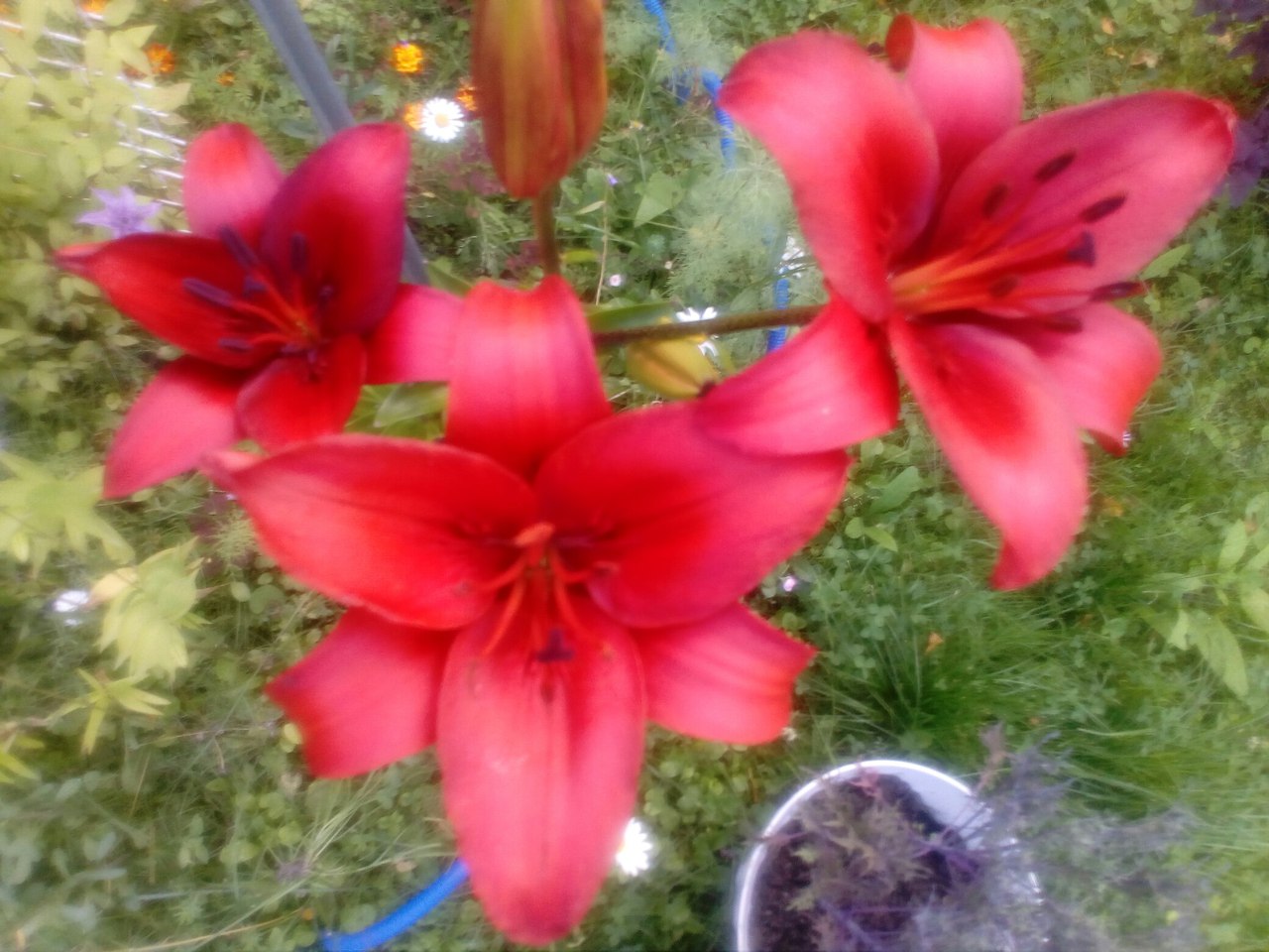 фотография из вКонтакта