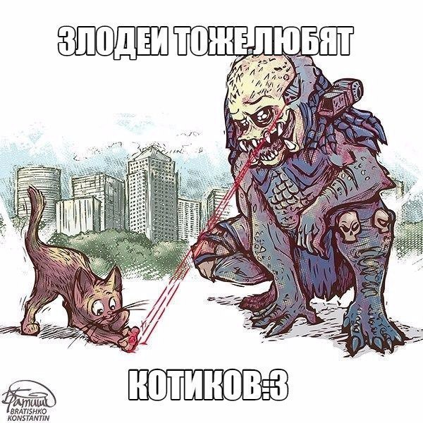 cLMt9t8u2j8.jpg