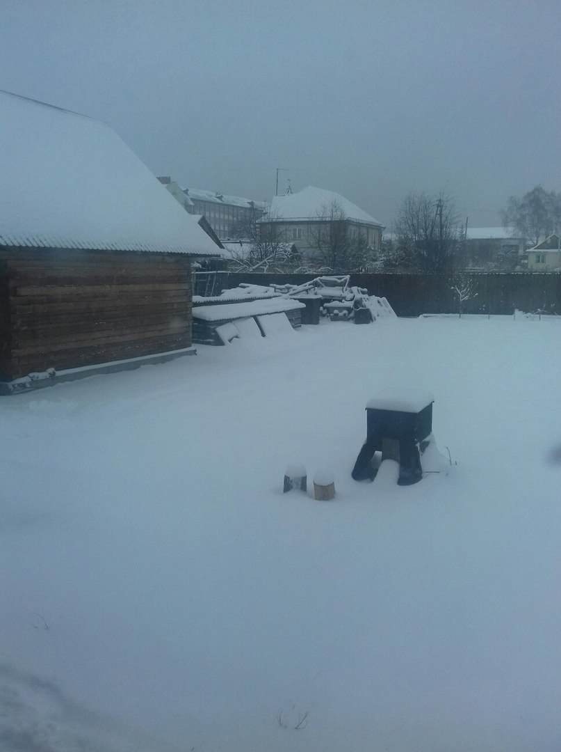 фотография из вКонтакта