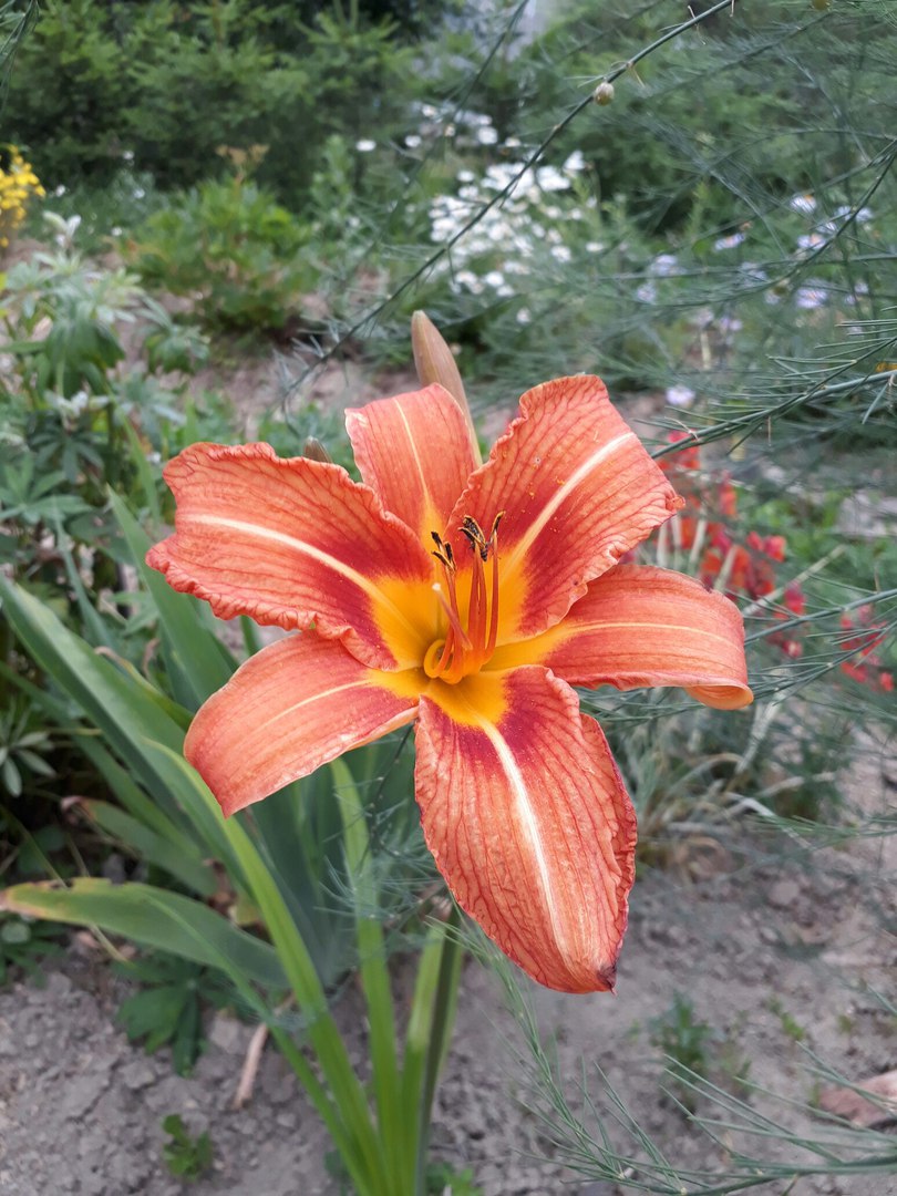 фотография из вКонтакта