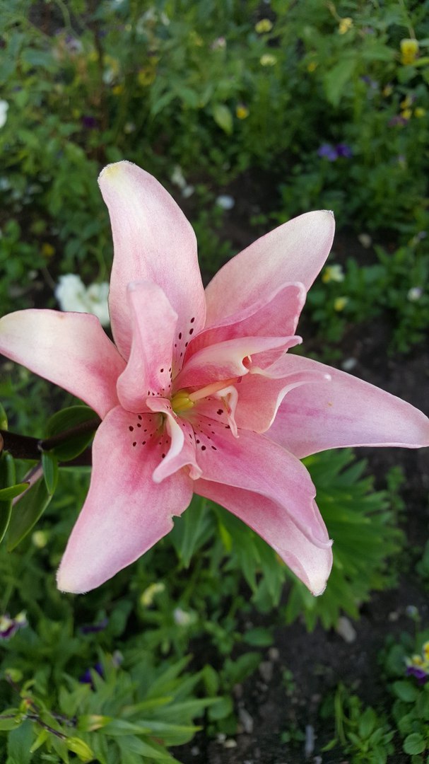 фотография из вКонтакта