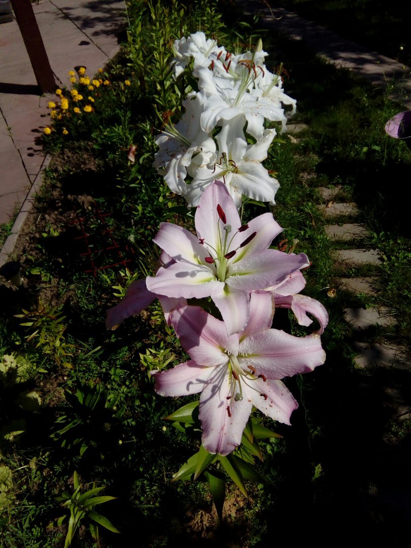 фотография из вКонтакта