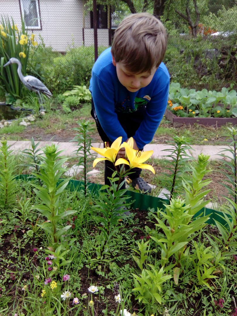 фотография из вКонтакта