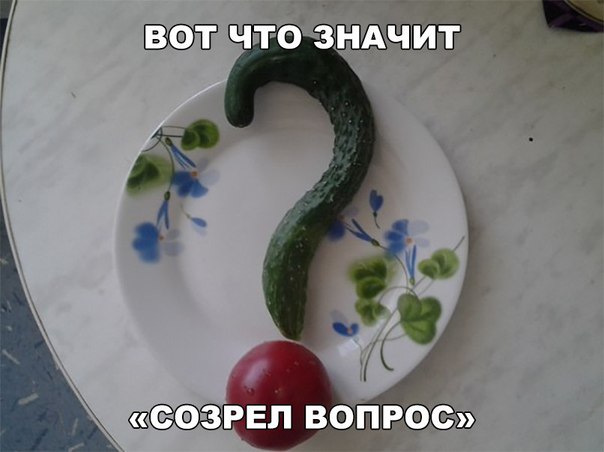 веселые картинки