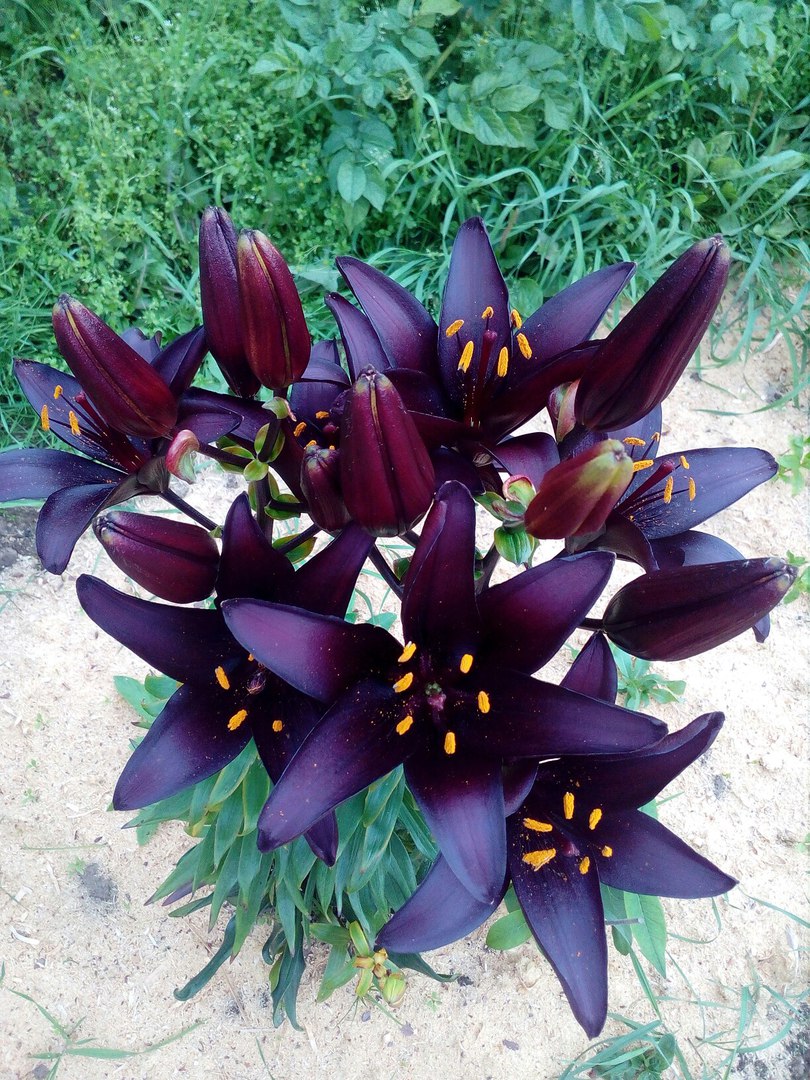 фотография из вКонтакта