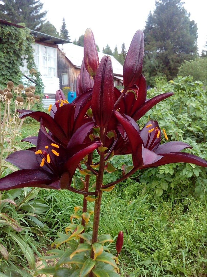 фотография из вКонтакта