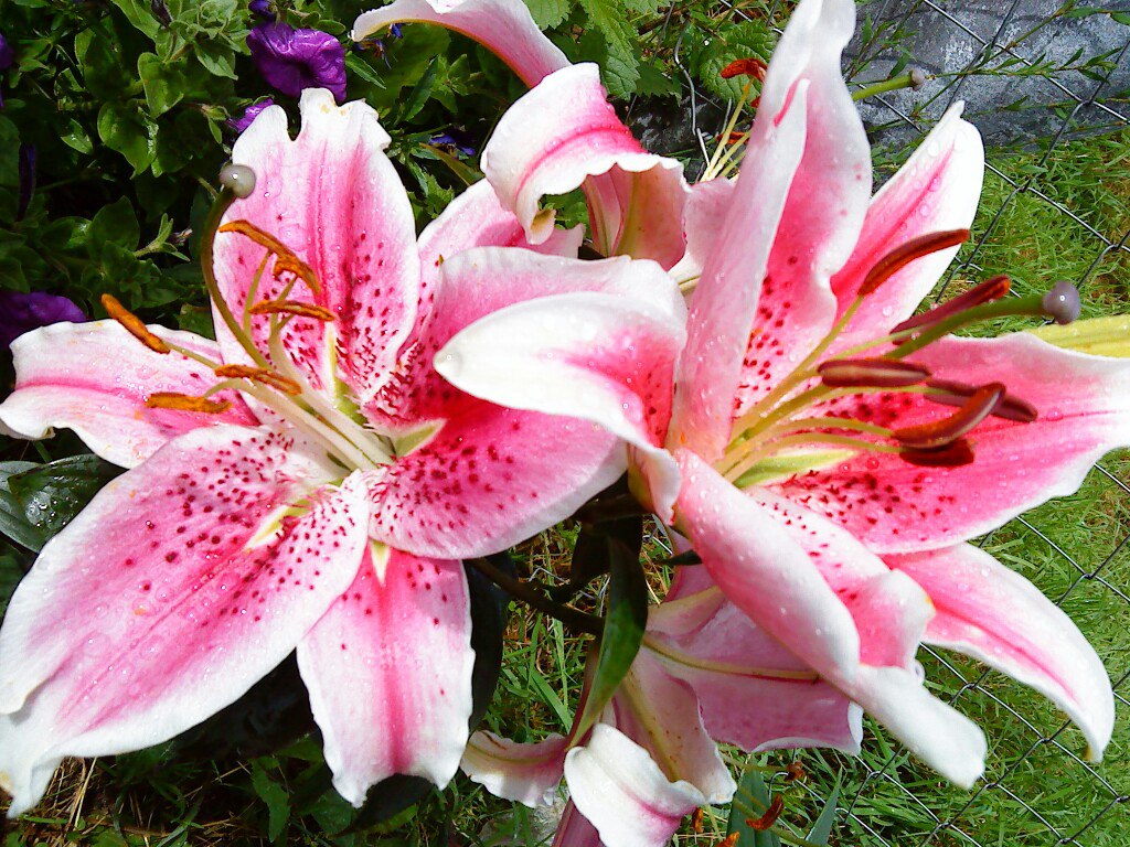 фотография из вКонтакта