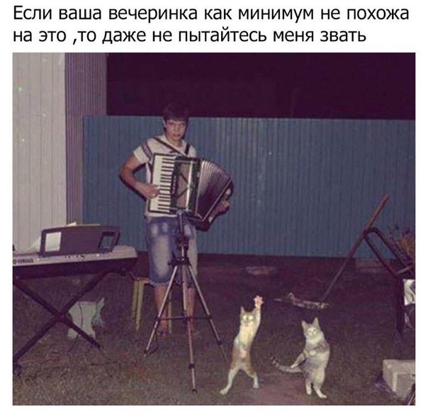 фотоприкол