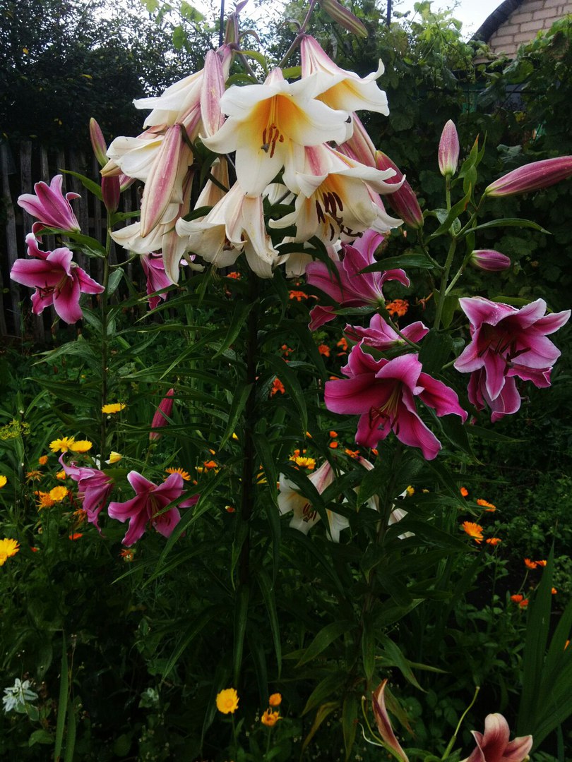 фотография из вКонтакта